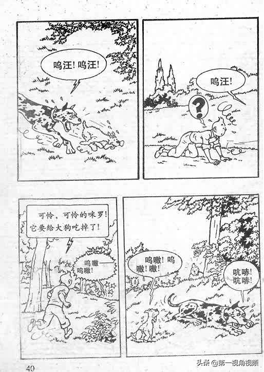 丁丁历险记刚果完整版,丁丁历险记西藏