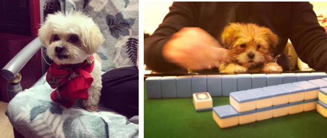 38万可以做什么,38万能做什么