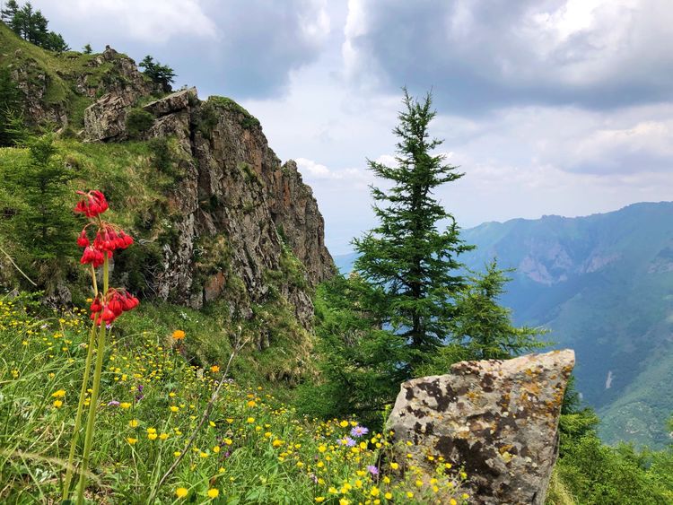 小五台山哪里进入景区,小五台山春天景色