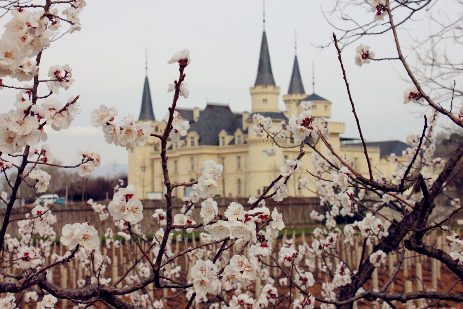 北京张裕爱斐堡国际酒庄住宿,北京张裕爱斐堡国际酒庄有限公司