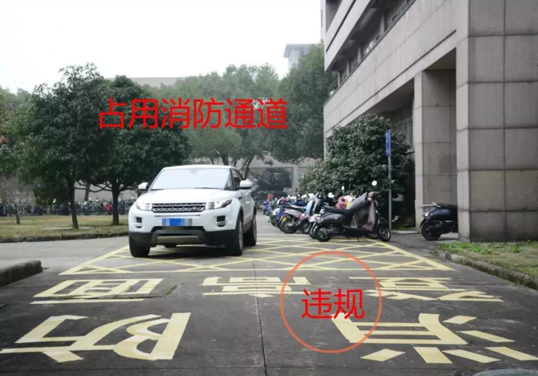 校园新增“神器”提醒您：行车不规范，进校两行泪！｜美丽浙师
