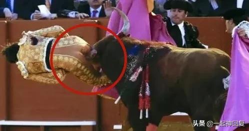 被牛角顶了是什么感觉,被牛角顶了是什么样