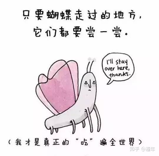 想象中不一样的动物冷知识,悲伤的动物视频