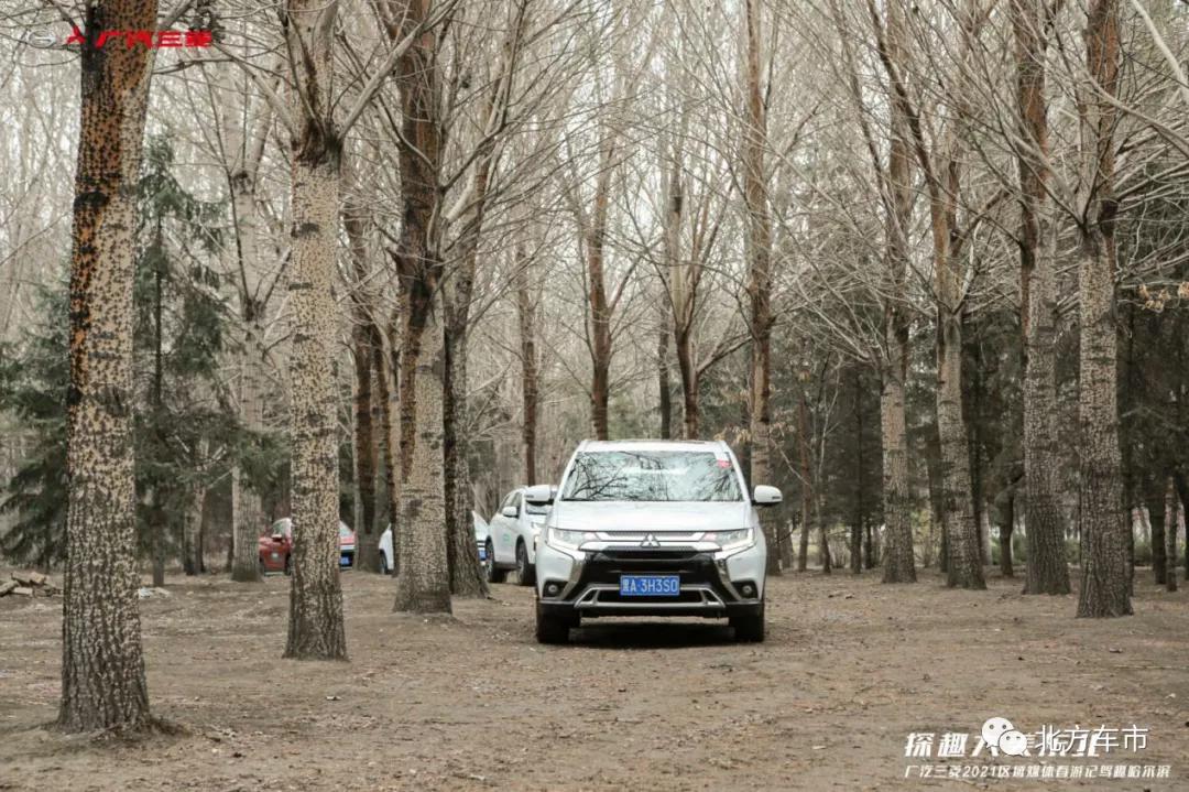 春游踏青完美收官,春游完美收官