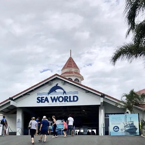 黄金海岸之冲浪在哪里,黄金海岸除了冲浪还有什么