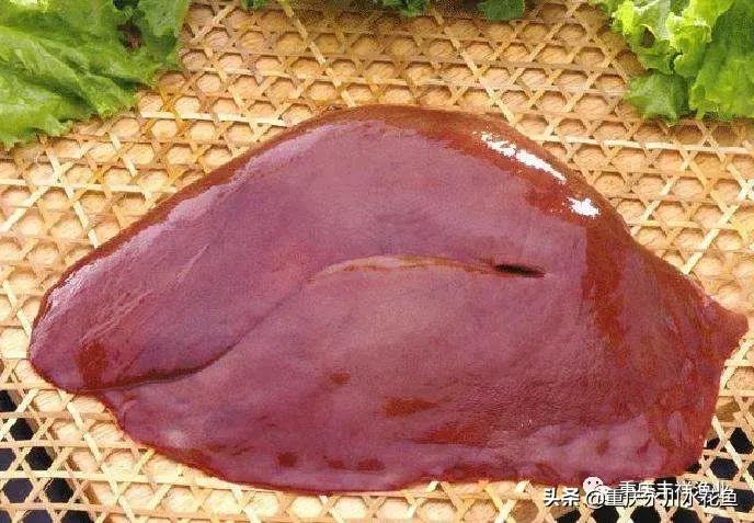 浮游动物饵料大全,各种动物饵料大全