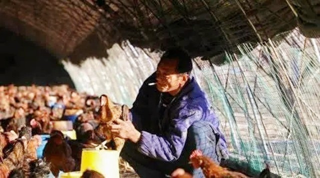 6年前捡到太岁,捡到太岁农民现在过得怎么样了