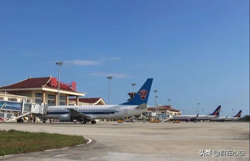 桑葚吃多了会发生什么,吃了一大堆桑葚后会怎么样