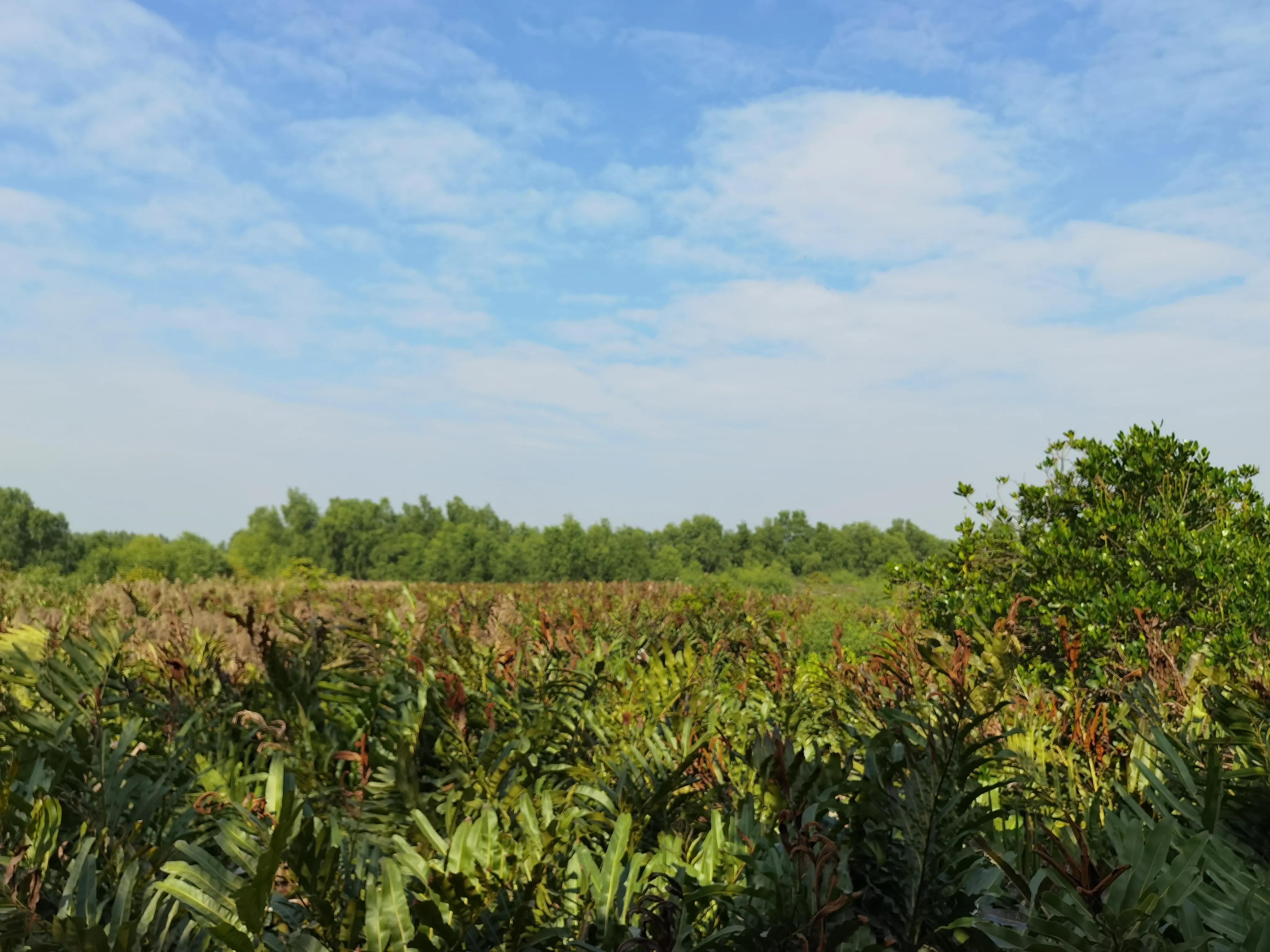 珠海4天3晚游玩攻略,珠海3天游玩攻略图
