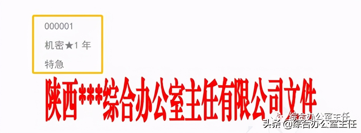 公文字号标准写法,公文字号标准及格式