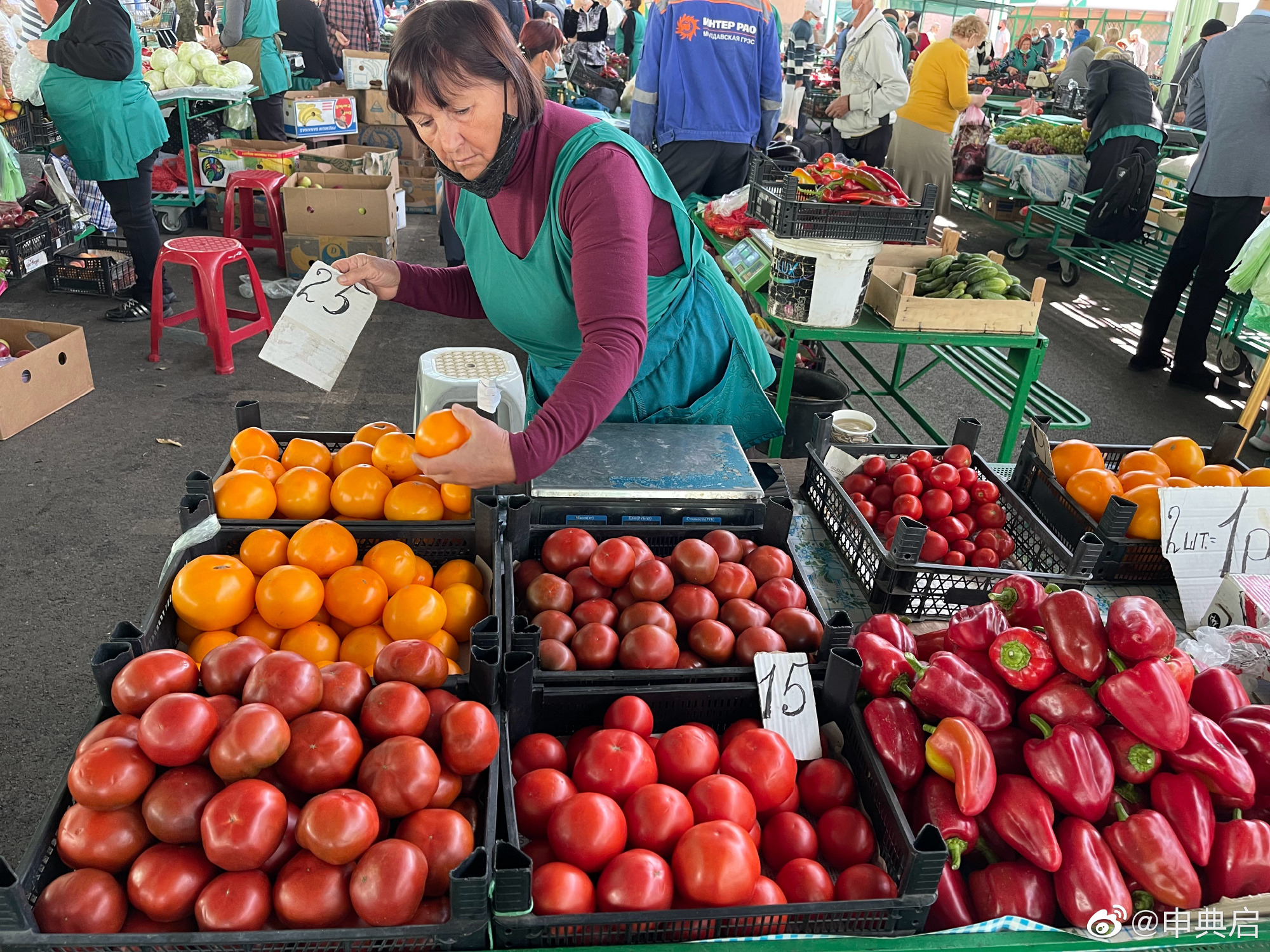 德左共和国是一个怎样的国家,德左共和国地理位置