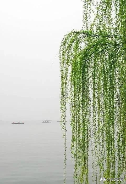 成语的误用类型有哪些,人民日报整理易错的四字成语