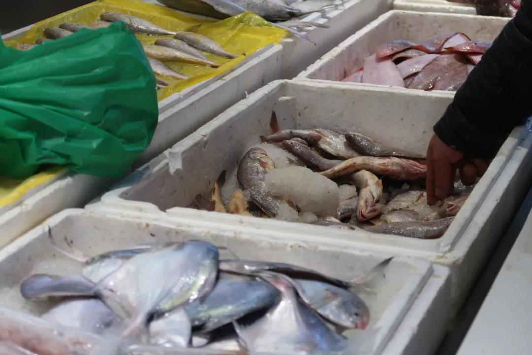 在这个足足2万平的奇妙海鲜“商场”，我找到了赚钱的动力