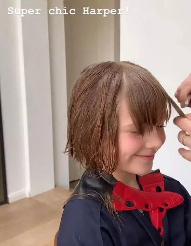 小七在学校里过生日,小七去贵族学校上学