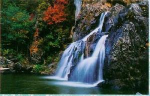 广西贵港市区面积多少平方公里,贵港市概况简介