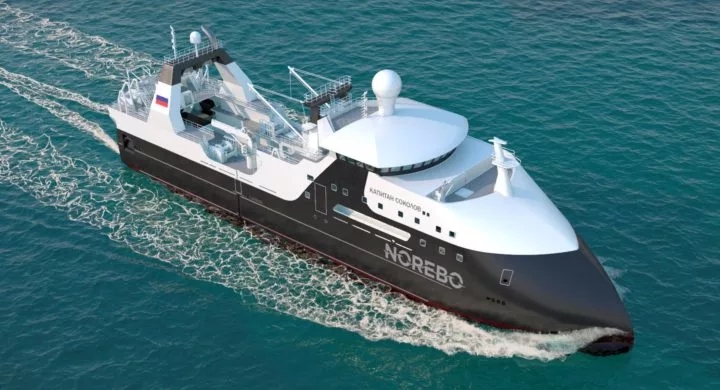 俄罗斯鳕鱼广东,俄罗斯鳕鱼青岛