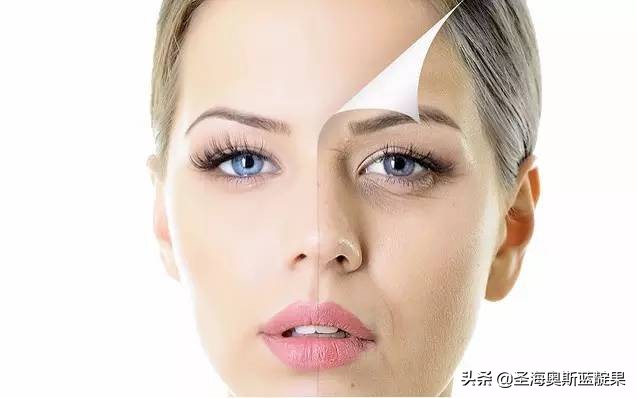 不老莓原果,不老莓的神奇故事