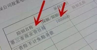 高速撞死动物怎么办,公路上撞死动物有责任吗