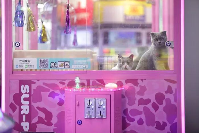 北京秋叶原娃娃机加盟,秋叶原娃娃机抓娃娃