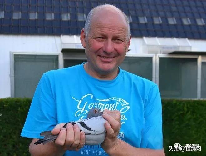 冠军孵化器——福雷迪和雅克.范希兄弟鸽舍