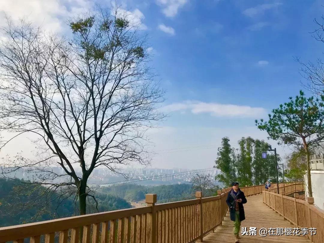 马祖岩人文公园大概多少公里,马祖岩人文公园夜光路