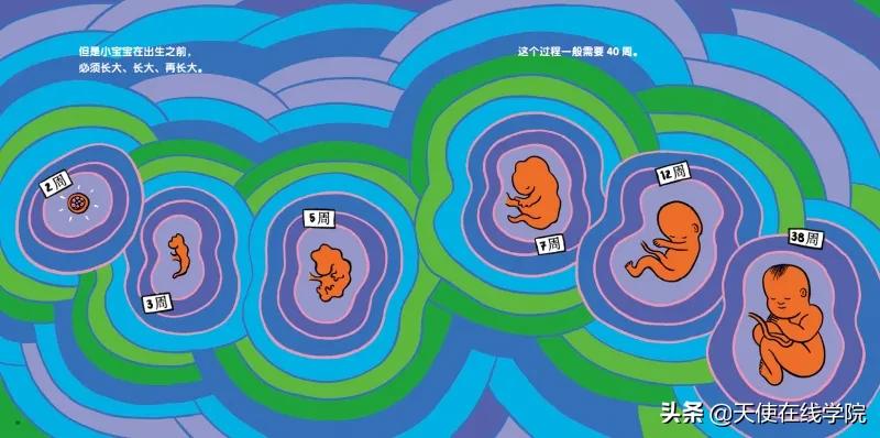 给孩子讲性教育的绘本,怎样通过绘本灌输性教育