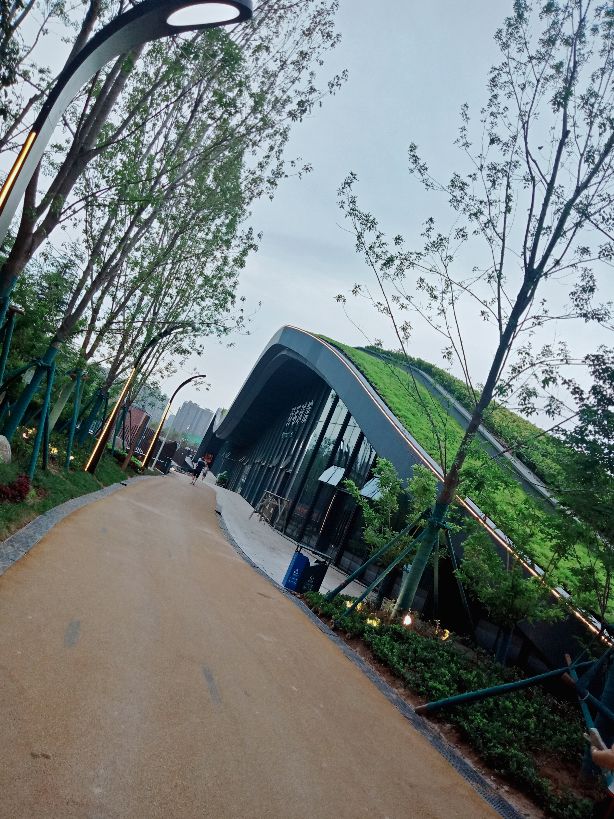 幸福林带散步,幸福林带晨练