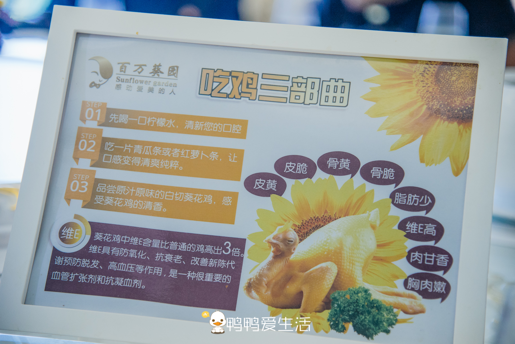 广州最浪漫的旅游胜地,广州最浪漫的旅游景点在哪里啊