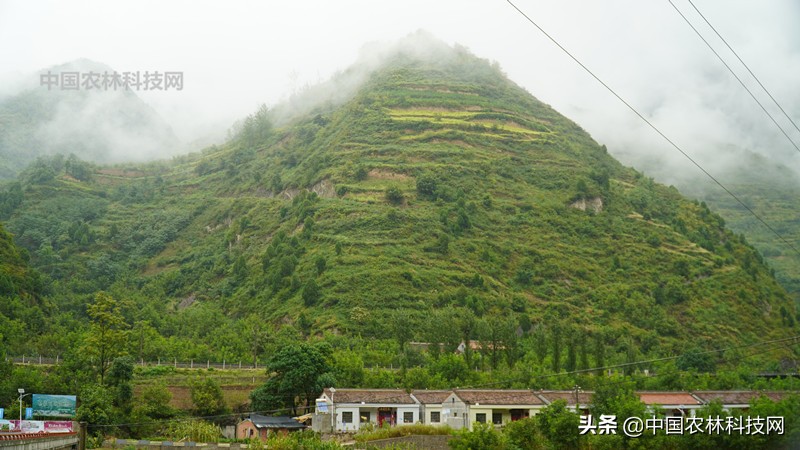 天水到大水川一日游,自驾游到天柱山停哪里最方便
