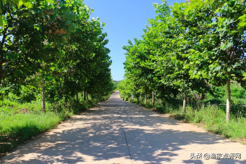 大连这个小岛不去看一看，真的会后悔