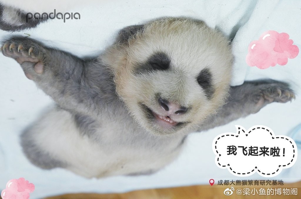 因为你们，“爱豆”的世界离我们不再远咯