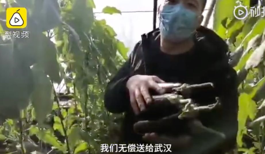 鐐瑰悕涓滃寳,涓滃寳鐐瑰悕瑙嗛