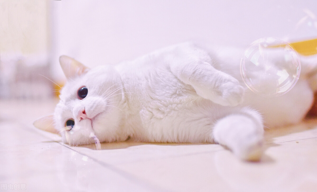 好喝的啤酒推荐排行榜,青岛皮尔森精酿啤酒