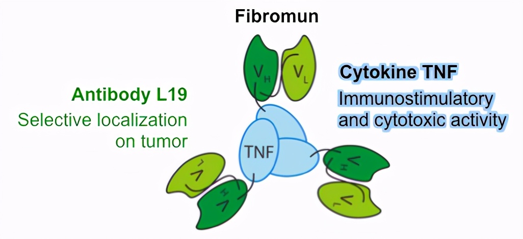 脑肿瘤治疗前沿,脑肿瘤最新研究成果