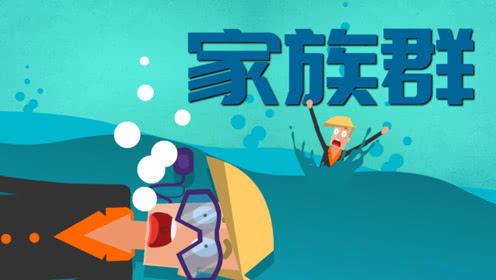 被微信里神圣的“家族群”骚扰,红包、养生贴、表情包哪个能忍?