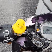 路易威登包搞笑视频,路易威登稀奇古怪的包