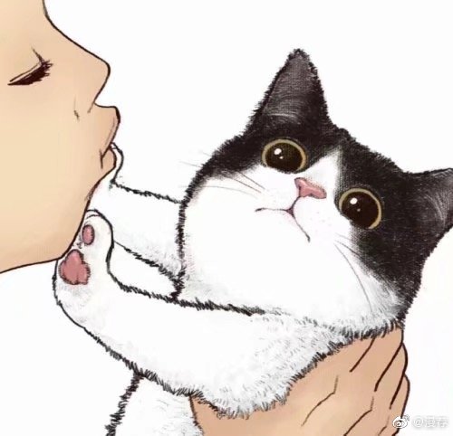 喵星人漫画推荐,绘画漫画喵星人