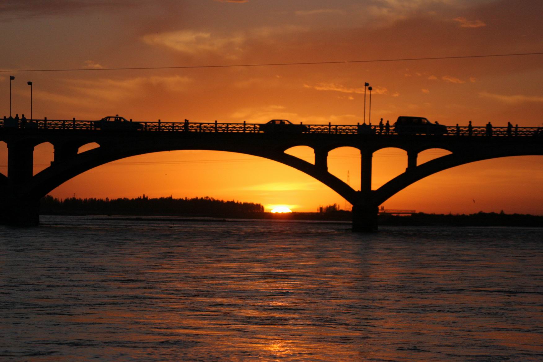梵高画不出的向日葵,梵高画中的风景