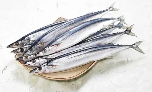 猫狗吃什么补充营养便宜,怎么配制猫狗都吃的食物