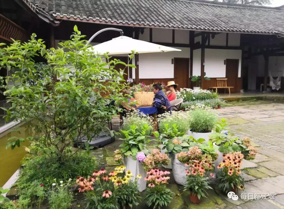 青城山十大顶级神仙民宿,藏在青城山里民宿