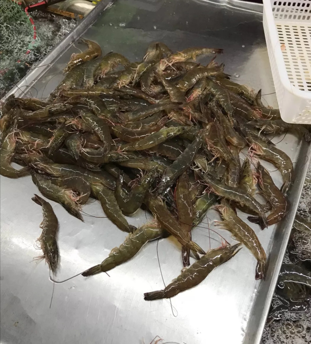 最新青岛海鲜批发市场价格,青岛最大的海鲜批发市场是哪一个