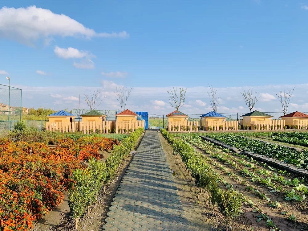 上海崇明金茂凯悦酒店总经理,重庆凯悦酒店马倩蓓总经理