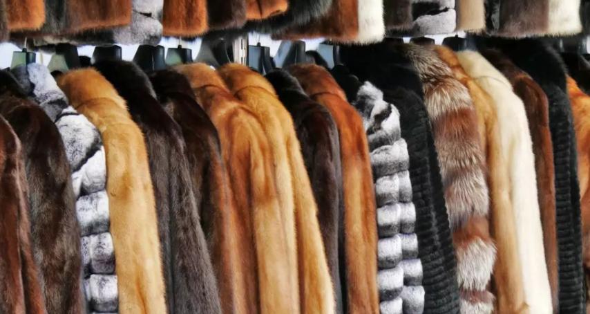 为什么市场上有价格低的皮草,皮草为什么越来越少了