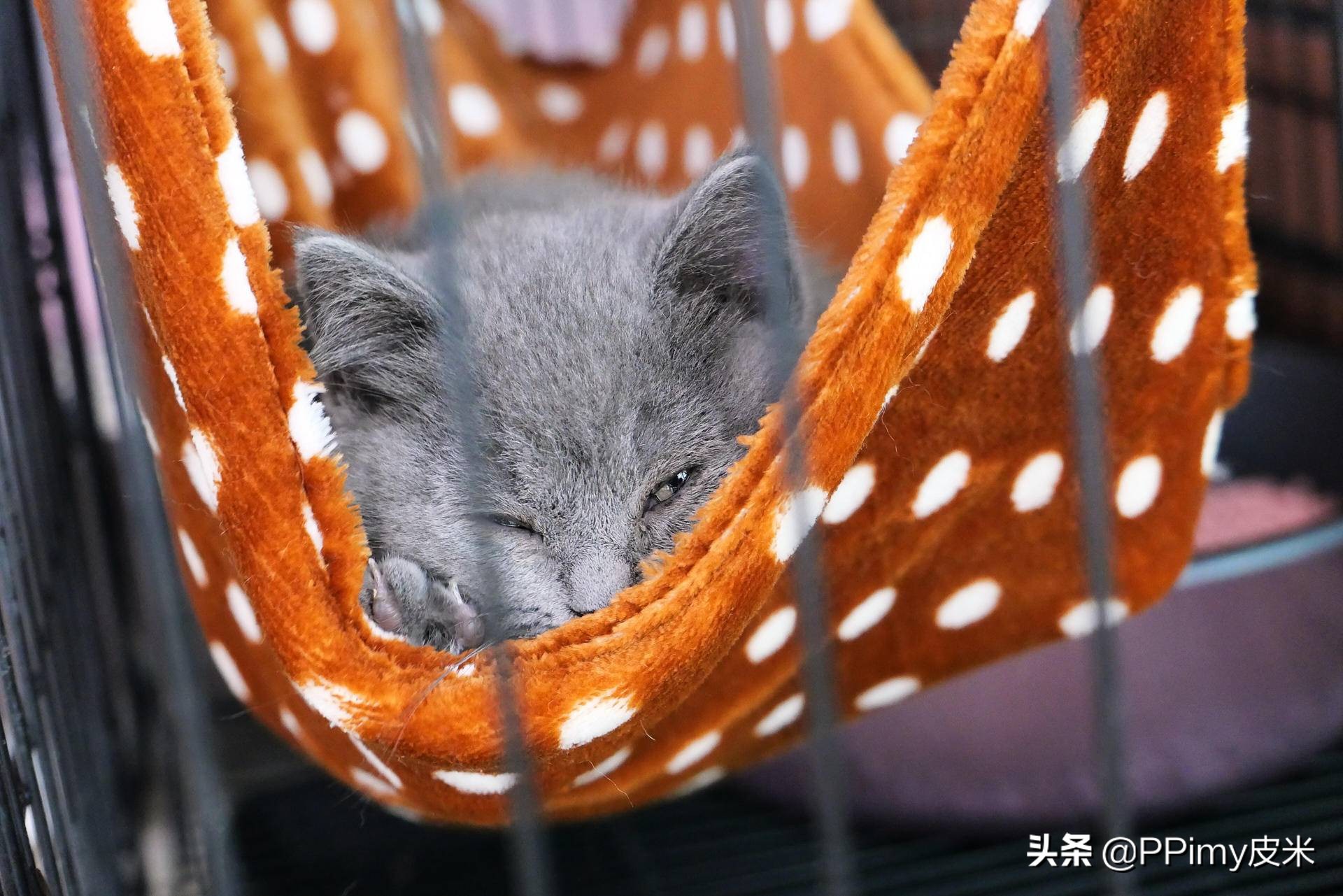 松下相机lx100m2使用感受,松下lx100m2相机官方标配版开箱