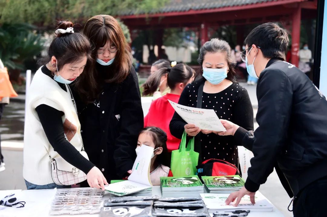 来成都看大熊猫攻略,成都看熊猫旅游攻略来了