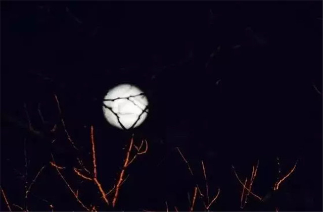 韩非子经典名言名句摘抄,韩非子经典名句300句摘抄及感悟