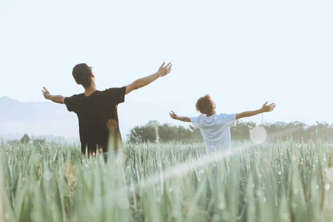 东野圭吾《恶意》:没有来由的恨,是人性最大的恶