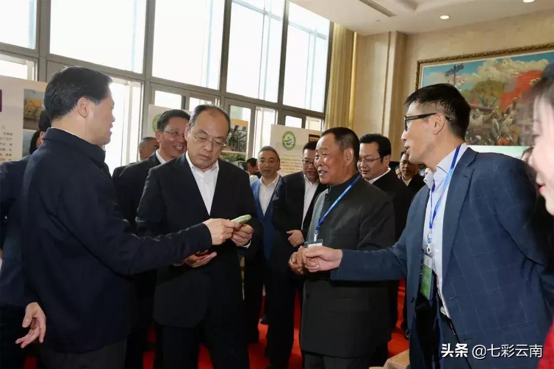 七彩云南庆沣祥什么档次,云南庆沣祥茶业股份有限公司