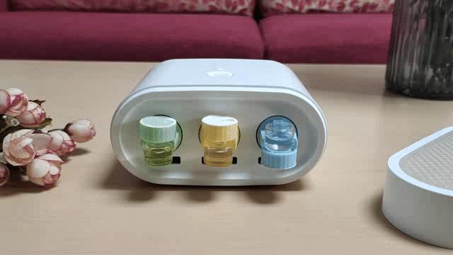 房间有酸臭味怎么快速散味,屋里空气不流通有异味有什么妙招