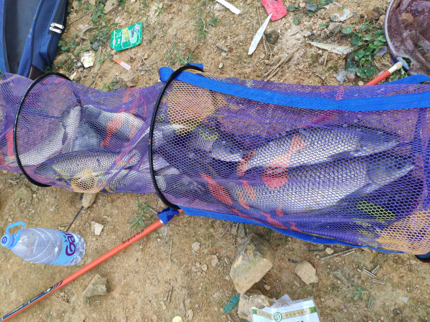 夏天野钓小鱼闹窝的最有效的方法,夏天钓鱼小鱼闹窝用什么饵